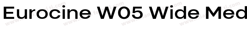 Eurocine W05 Wide Medium字体转换